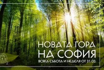 Днес стартира вторият залесителен сезон на Новата гора на София