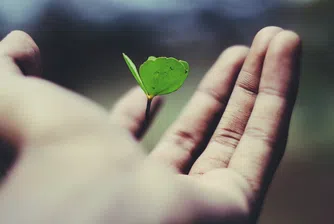 Устойчив ръст на застрахователния пазар през 2022 г.