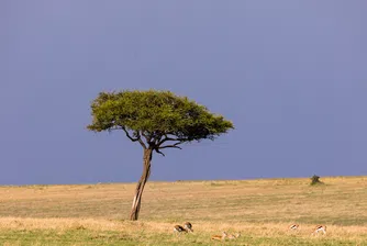 Сушата ще превърне 1,2 млн. души в мигранти до 2050 г.