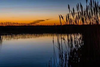 Ето как ще изглеждат парковете на бъдещето в САЩ (снимки)