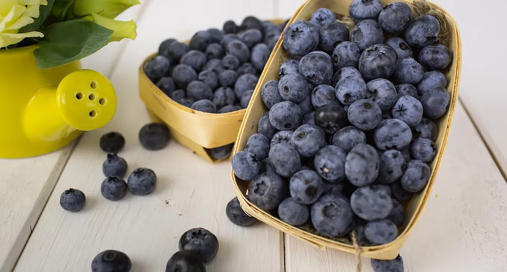 10 любопитни факта за боровинките