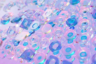 Битката за AI - Google налива $300 млн. в конкурент на ChatGPT