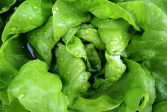 Белгия - първа в ЕС по токсични пестициди в плодовете и зеленчуците