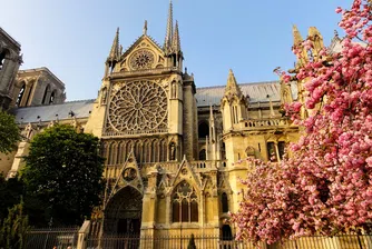 Откриха древен саркофаг под катедралата Нотр Дам