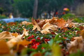 7 начина да се справите с есенната депресия