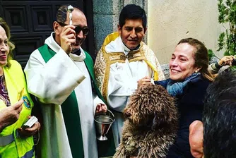 Кучета и котки получиха благословия в чест на Св. Антоний