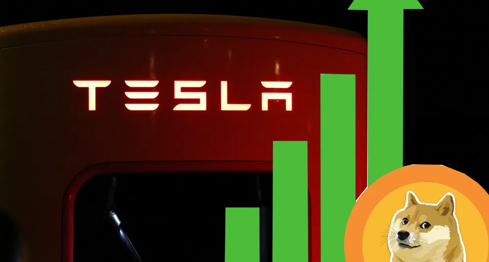 Компания на Илон Мъск планира листване на БФБ