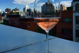 Лозе на покрива, или как градското земеделие завладя Ню Йорк