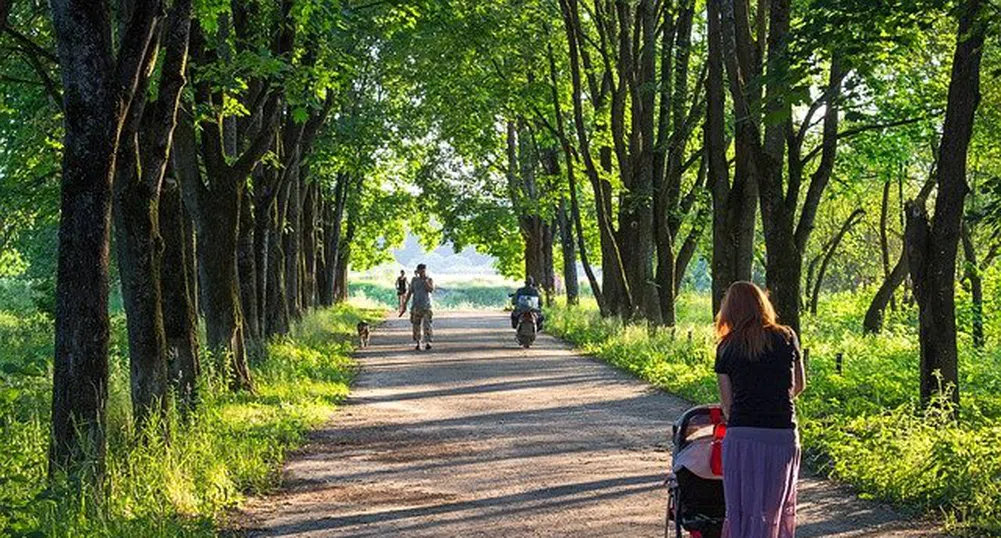 До 37 градуса и прегърмявания в края на работната седмица
