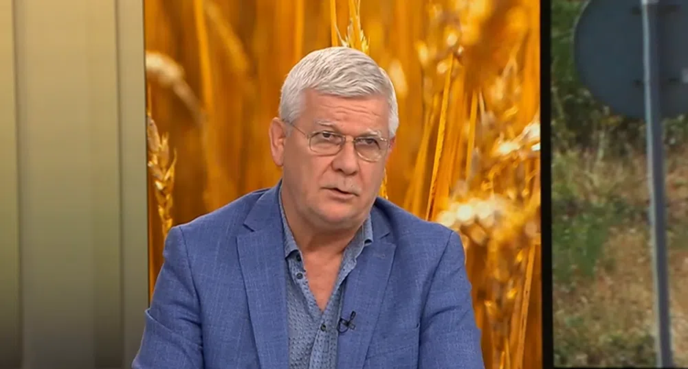 Министър Вътев: До края на ноември няма да се внася слънчоглед от Украйна