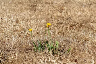 Осем съвета за борба с лятната жега