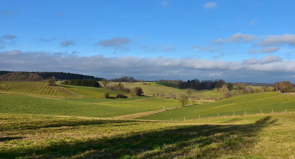 Къде земеделската земя у нас е най-скъпа?