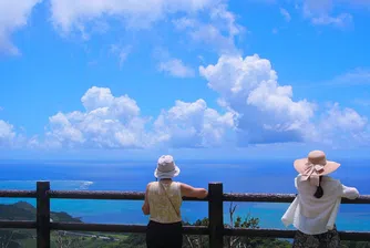 Броят на японките, които са самоубиват, расте във втора поредна година