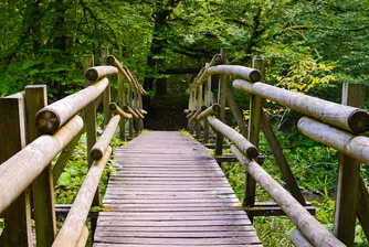 Най-дългата туристическа пътека в света се простира на 24 000 км