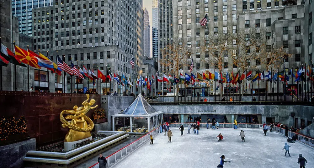 Най-известната коледна елха в света вече е избрана (снимки)