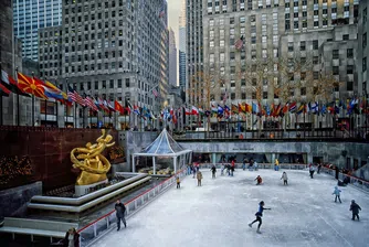 Най-известната коледна елха в света вече е избрана (снимки)