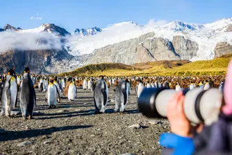 Дълбоко в джунглата или сред ледове – новата мания по круизите с адреналин