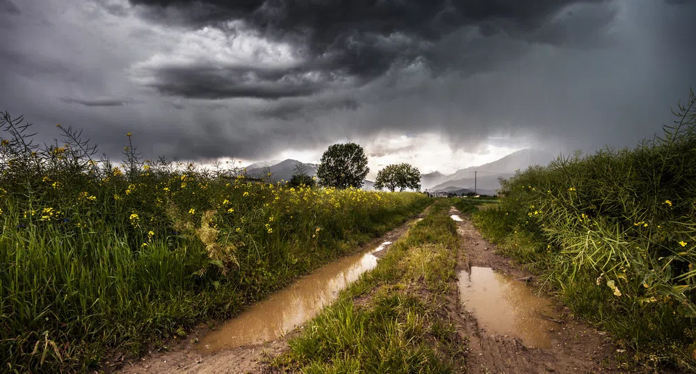 УНИКА България удължава срока за завеждане на щети