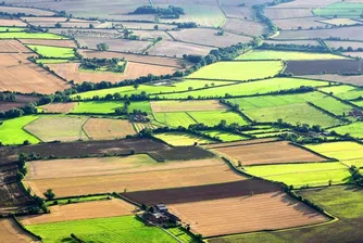 Адванс Терафонд АДСИЦ купува земи на 850 лв./дка