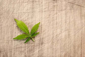 Картини от хашиш показа лондонска галерия