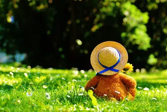 Тези играчки са посетили повече държави, отколкото повечето хора