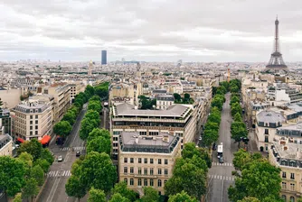 Повече дървета в градовете означават по-щастливи хора. Трябват ни още