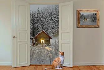 9 начина да защитите дома си от крадци