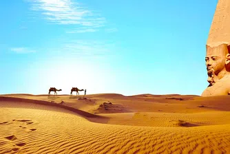 Изкуството да оцеляваш като водач на камили