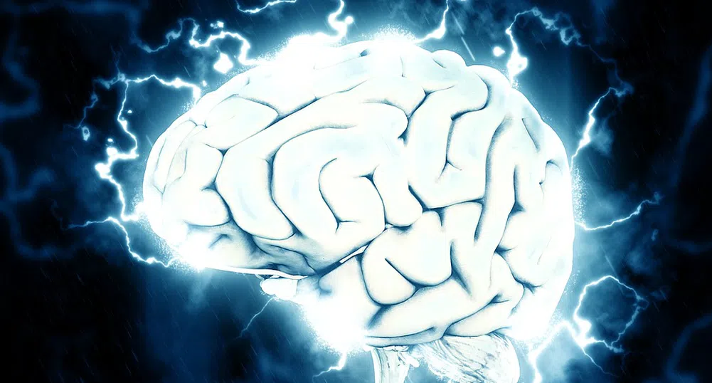 Мозък, увит във фолио, откри мъж на плаж