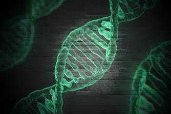 В Гърция се роди бебе, създадено от трима души