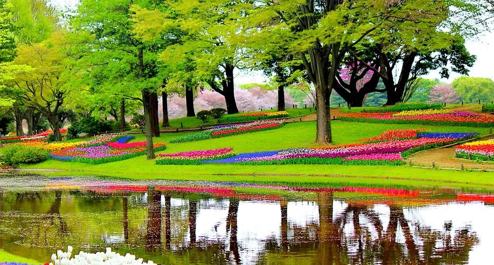 Най-красивата цветна градина в света затвори за първи път от 71 г