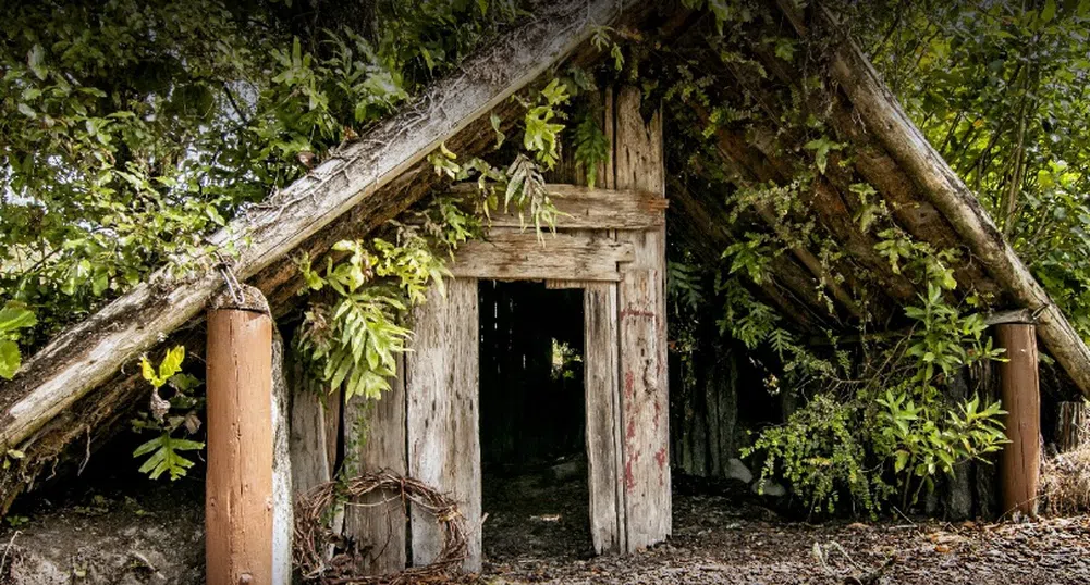 Историята на погребаното село Те Вайроа