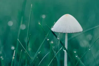 Климатолог: Лятото у нас вероятно ще е дъждовно