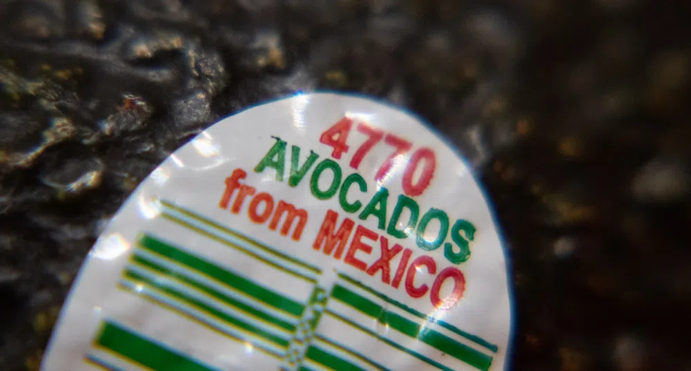 САЩ спря временно вноса на авокадо от Мексико