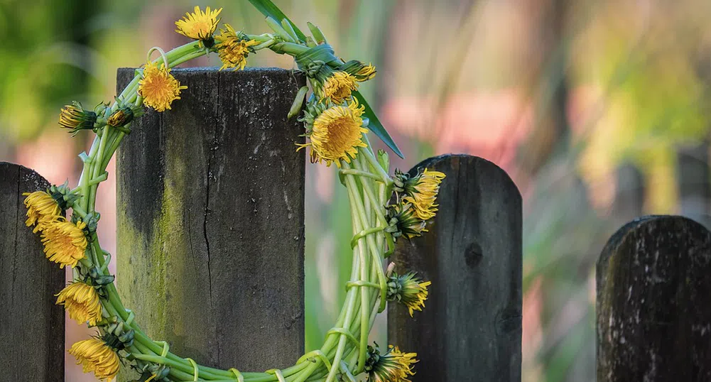 Православната църква почита Цветница
