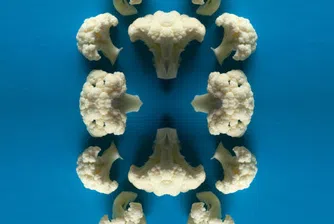 10 зимни суперхрани, които трябва да ядете