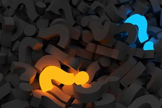 Можете ли да разберете какво не е наред с кучето на снимката?