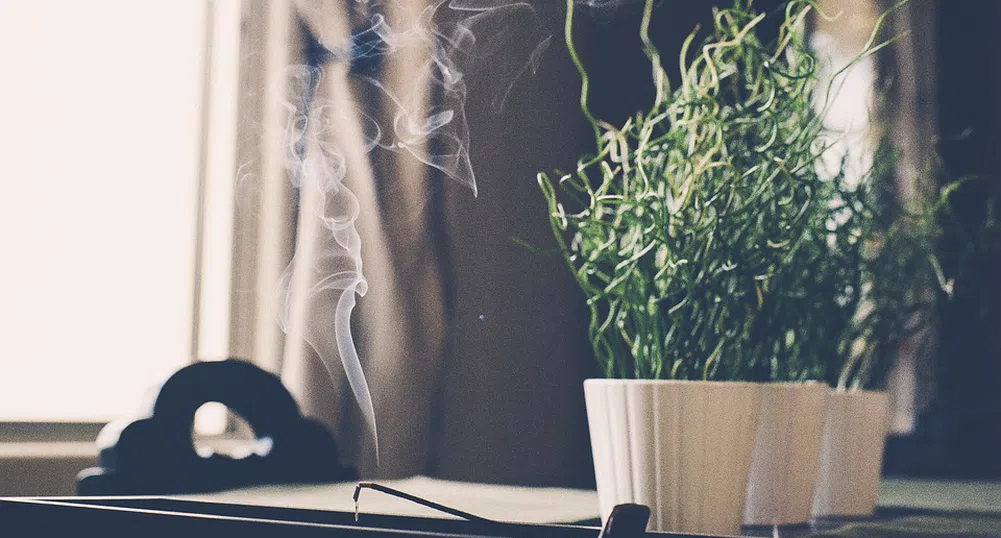 Румъния забрани със закон миризмите, глобата е 6 хиляди евро