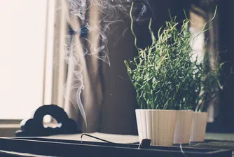 Румъния забрани със закон миризмите, глобата е 6 хиляди евро