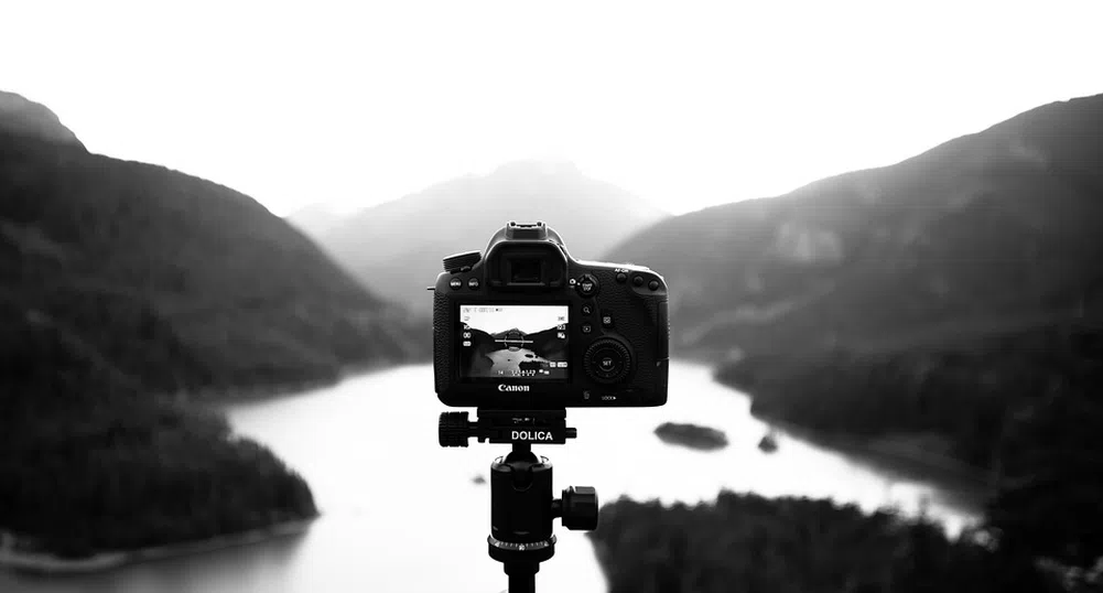 Вижте победителите в конкурса Фотограф на годината на дивата природа