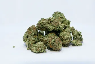 Пазарът на марихуана в САЩ – колкото виното и алкохолните напитки