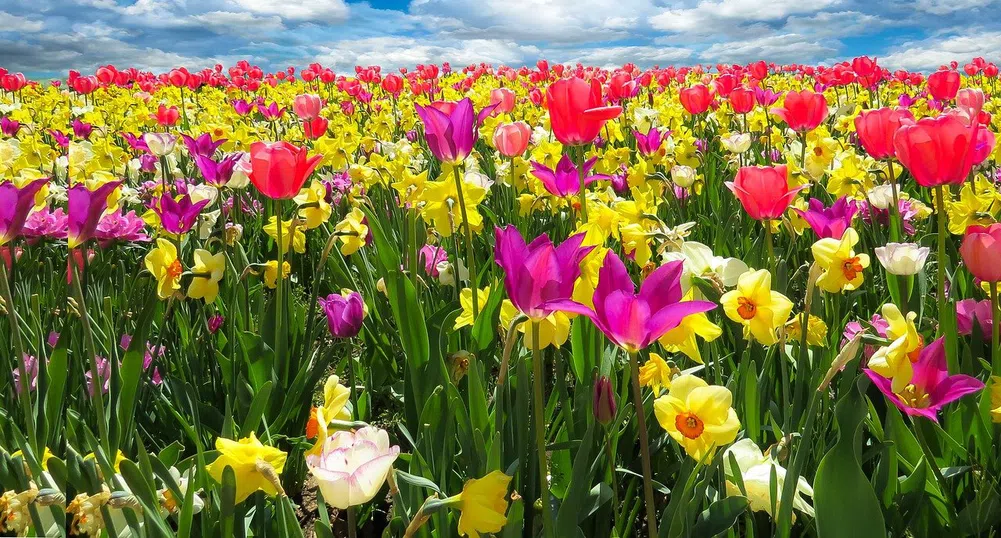 Живакът рязко тръгва нагоре. Очаква ни истинска пролет