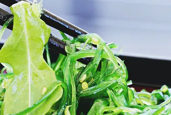 Създадоха компютър от водорасли