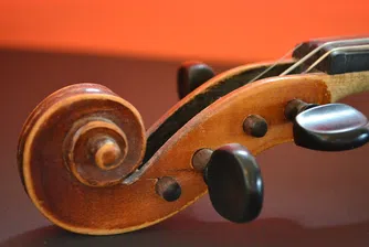 Жестоко убийство заради цигулки в Парагвай