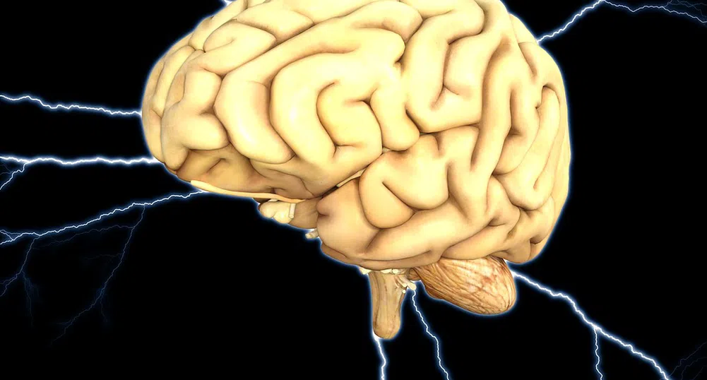 Колко дълго живее мозъкът след смъртта на тялото ни?