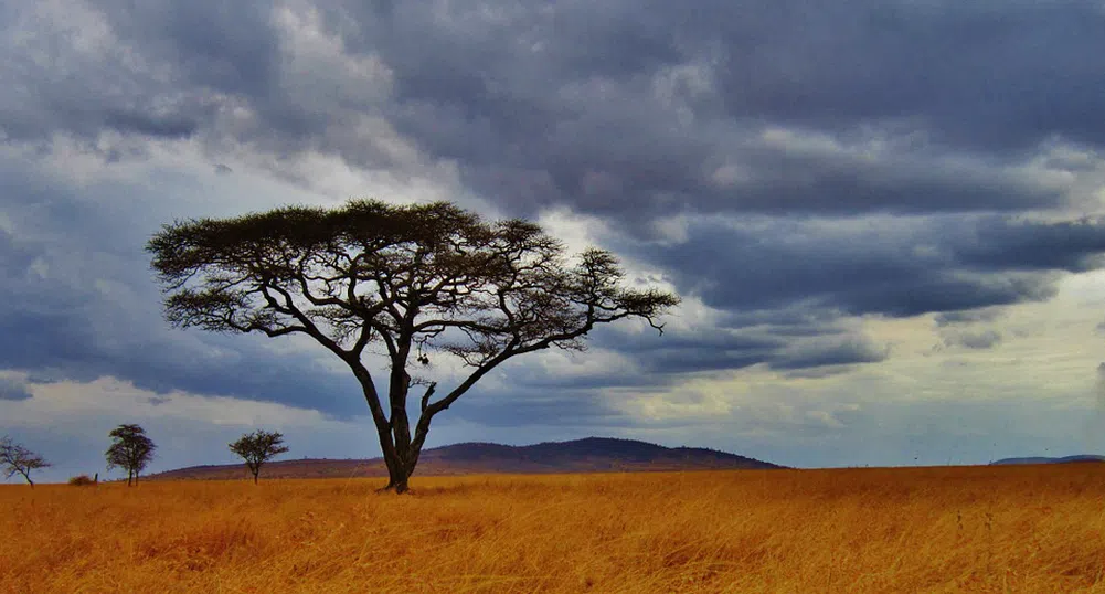 14 факта, които доказват, че Земята все още крие много изненади в ръкава си