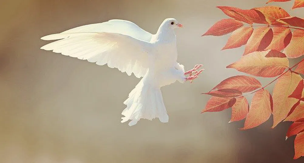 Какво ще бъде времето през седмицата?