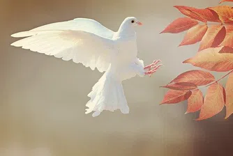 Какво ще бъде времето през седмицата?