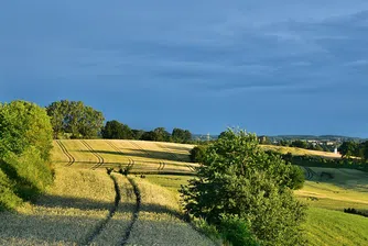 Къде земеделската земя у нас е най-евтина и най-скъпа