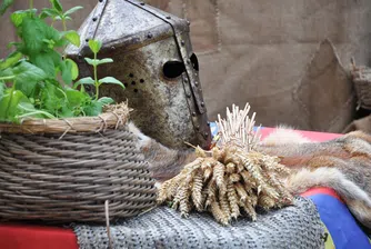 Колко български депутати членуват в тайни братства?